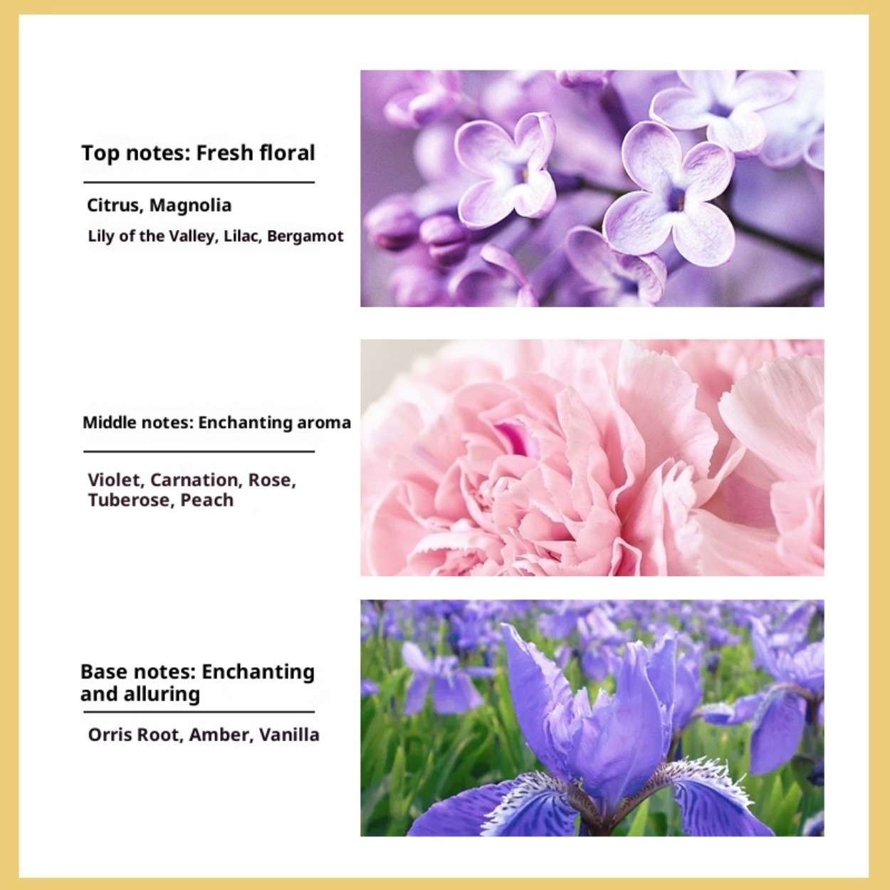 아니요. 5가지 여성용 오 드 뚜왈렛: 우아하고 도시적 - Perfume Fragrance Brands 리뷰 및 가격